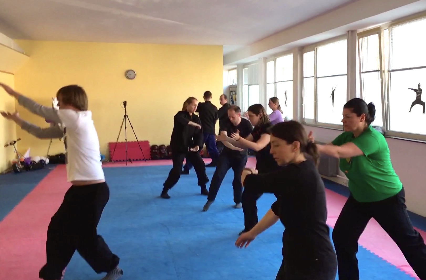 Wudang Taijiquan