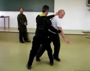 Baguazhang