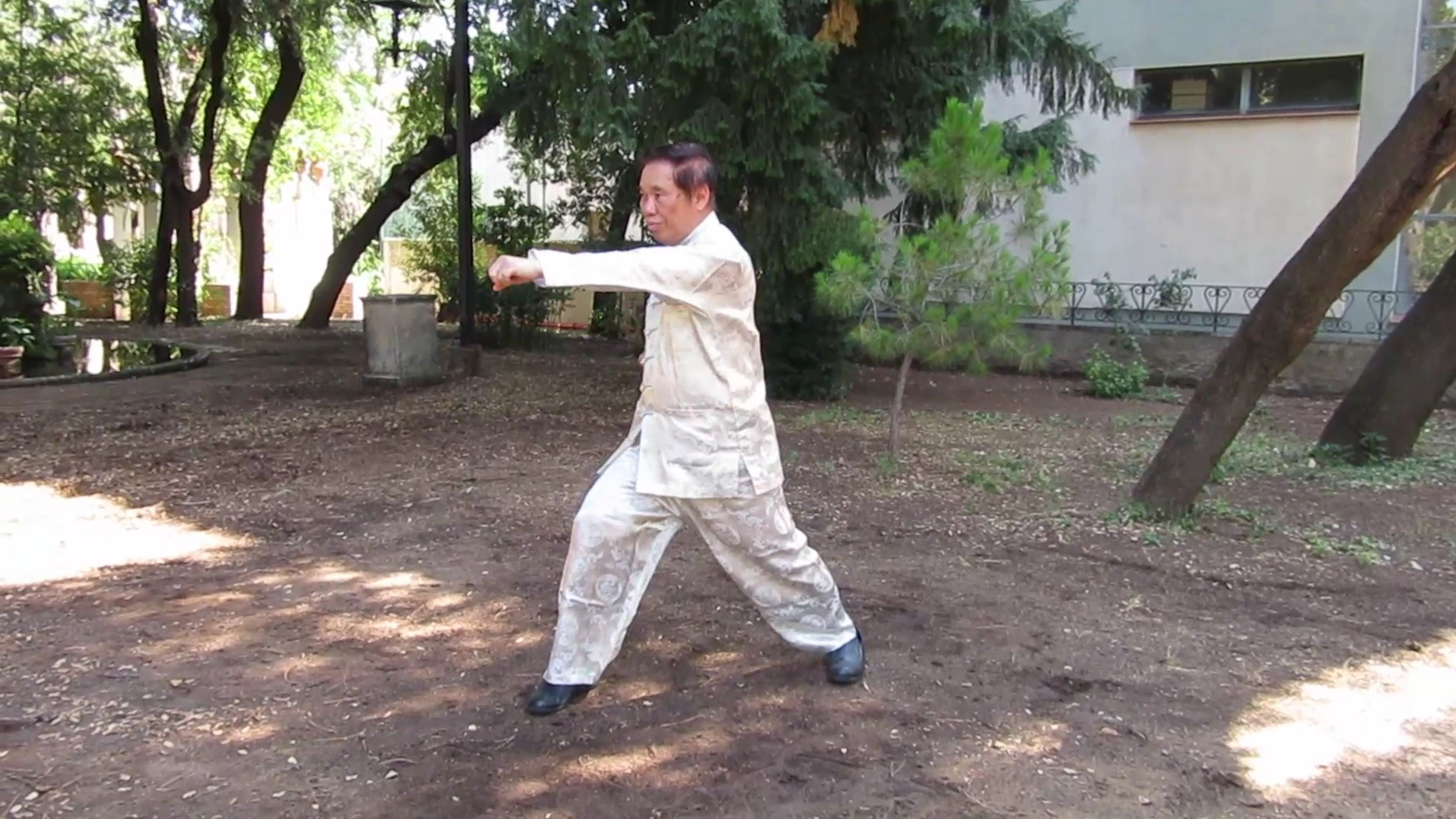 Er Shi Quan Set