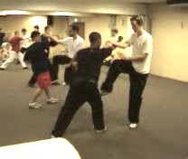 Intensive Shaolin Kungfu Course