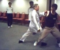 Wahnam Taijiquan footwork