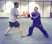 Intensive Taijiquan Course