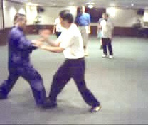 Intensive Taijiquan Course