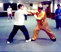 Intensive Taijiquan Course