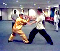 Intensive Taijiquan Course