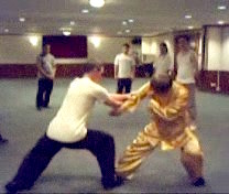 Intensive Taijiquan Course