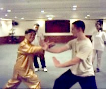 Tai Chi Chuan, Taijiquan