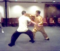 Intensive Taijiquan Course