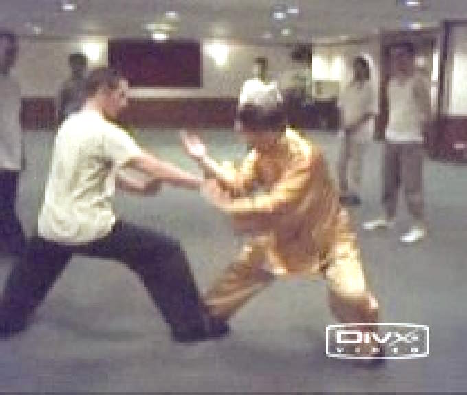 Wahnam Taijiquan