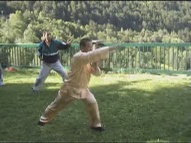 Shaolin Combat Sequences