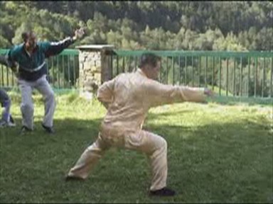 Shaolin Combat Sequences