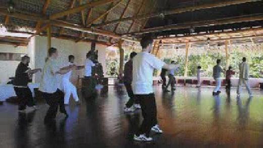 Fundamentals of Wahnam Taijiquan