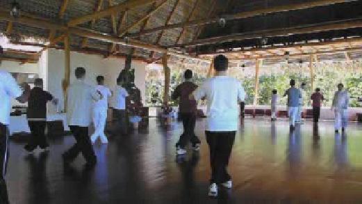 Fundamentals of Wahnam Taijiquan