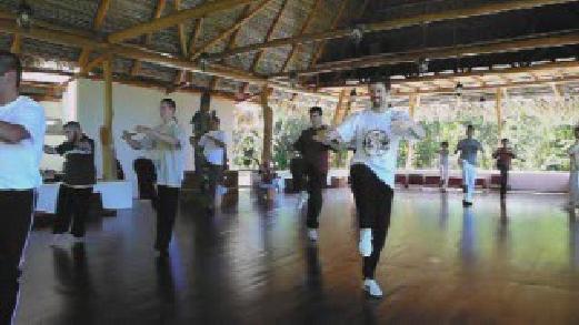 Fundamentals of Wahnam Taijiquan