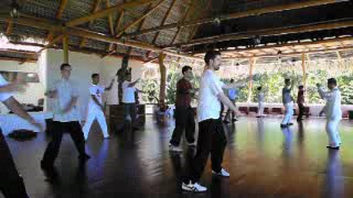 Fundamentals of Wahnam Taijiquan