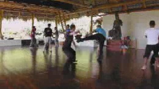 Taijiquan Free Sparring