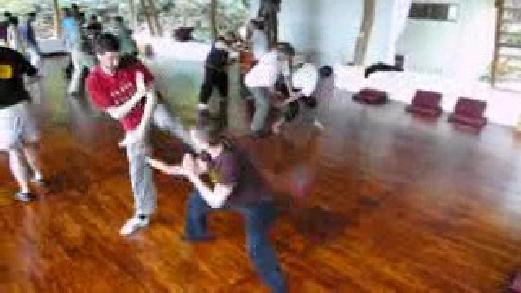 Taijiquan Free Sparring