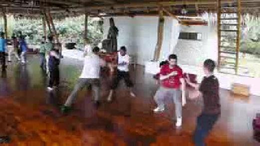 Taijiquan Free Sparring