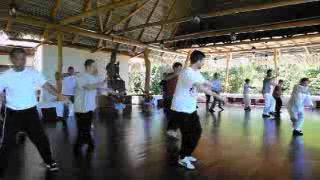 Fundamentals of Wahnam Taijiquan