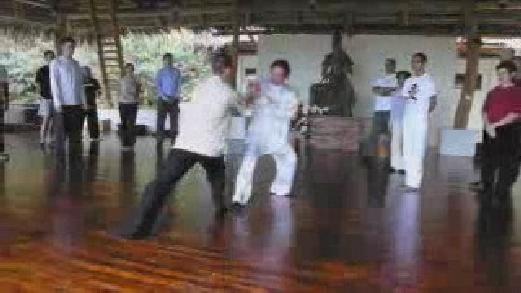 Fundamentals of Wahnam Taijiquan