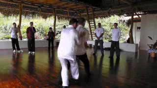 Fundamentals of Wahnam Taijiquan