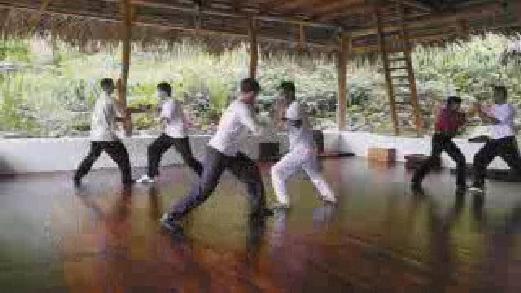 Fundamentals of Wahnam Taijiquan