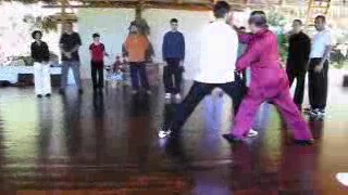 Wahnam Taijiquan