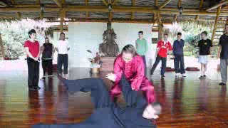 Wahnam Taijiquan, Tai Chi Chuan