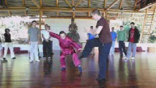 Wahnam Taijiquan