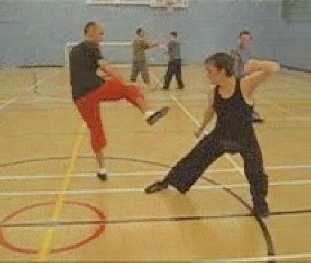 Taijiquan Sparring