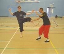 Taijiquan free sparring