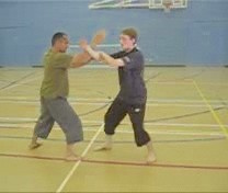 Taijiquan free sparring