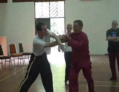 shaolin chin-na