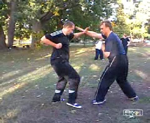 Shaolin Kungfu free sparring