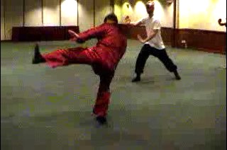 Shaolin Kung Fu Kicks