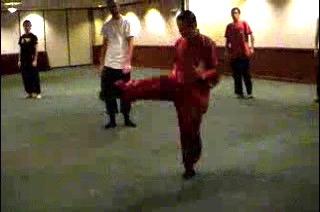 Shaolin Kung Fu Kicks