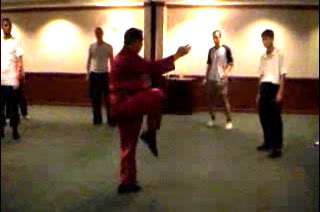 Shaolin Kung Fu Kicks