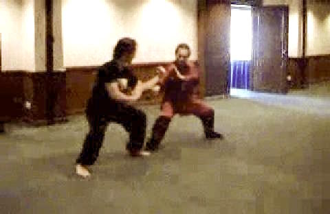 Shaolin 16 Combat Sequences