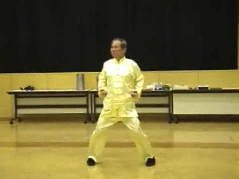 Shaolin Kung Fu