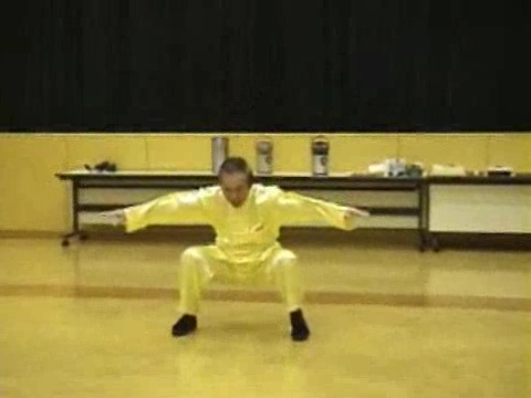 Shaolin Kung Fu