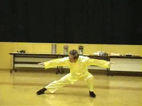 Shaolin Kung Fu