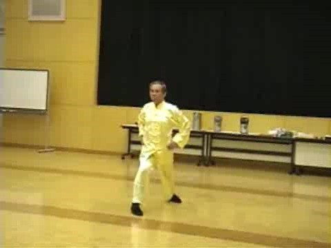 Shaolin Kung Fu