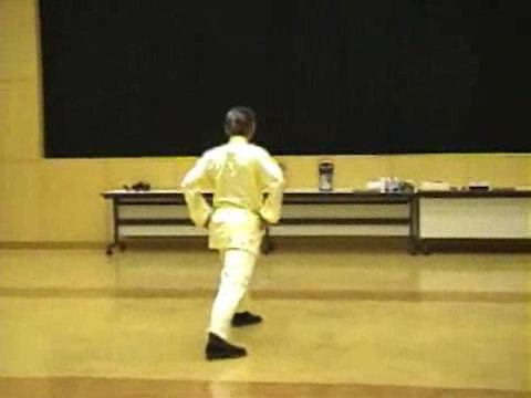 Shaolin Kung Fu