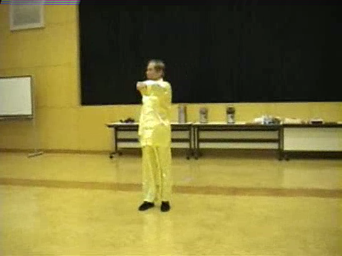 Shaolin Kung Fu