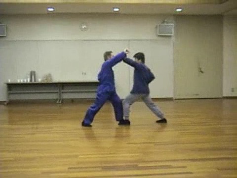 Shaolin Kung Fu