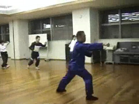 Shaolin Kung Fu