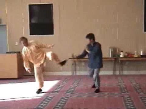 Shaolin combat sequences