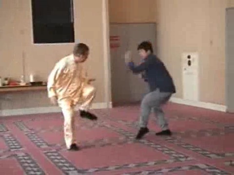 Shaolin Kung Fu