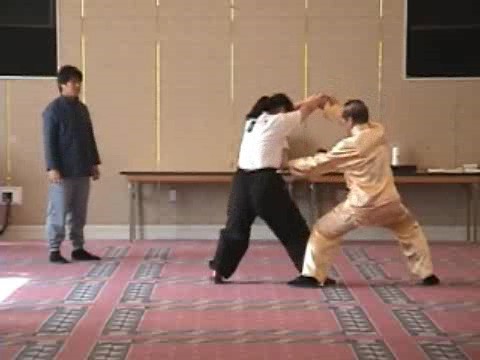 Shaolin Kung Fu