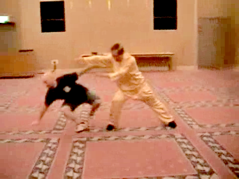 Shaolin combat sequences